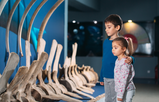 Two children looking at a large fossil in a museum