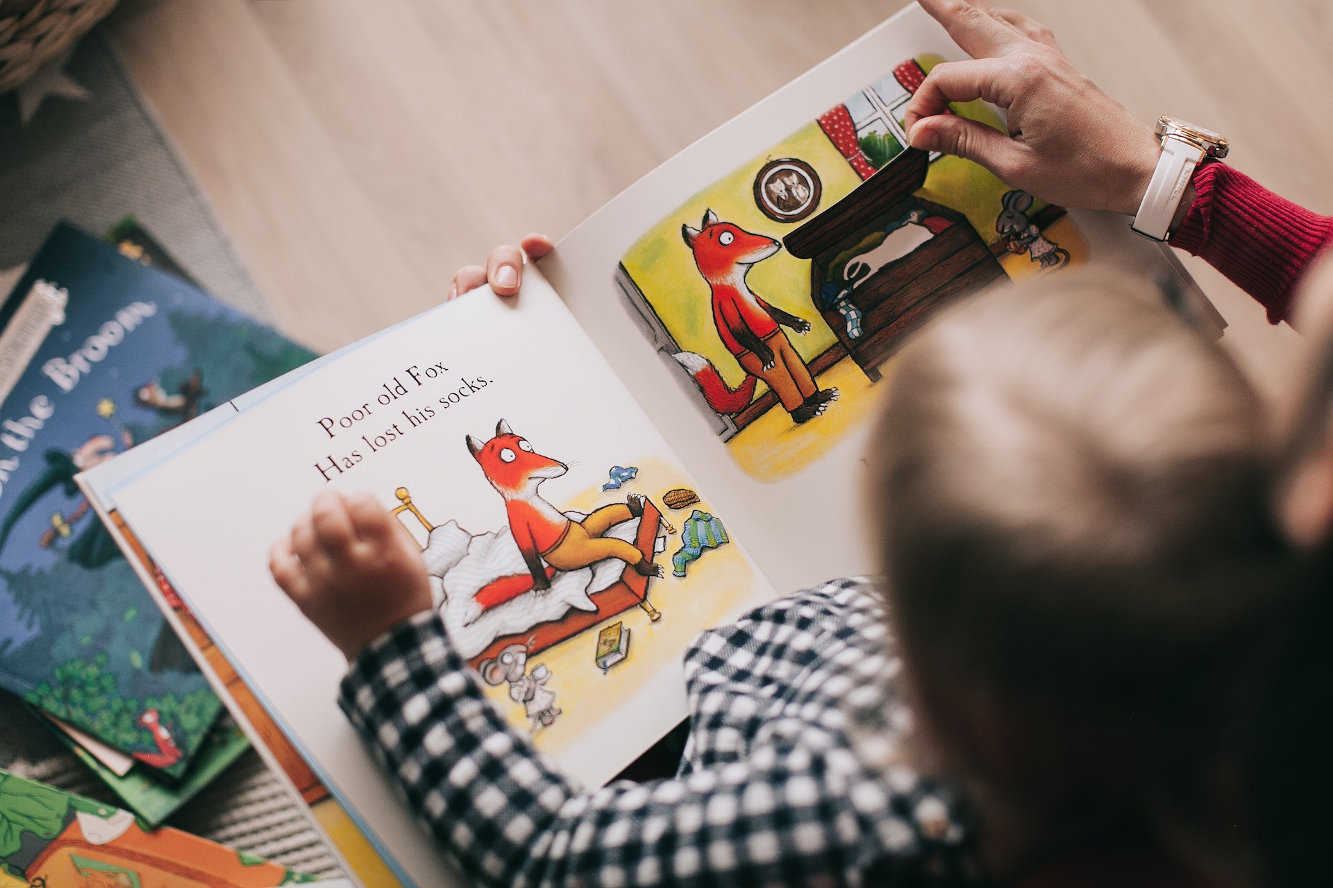 Toddler reading a picture book