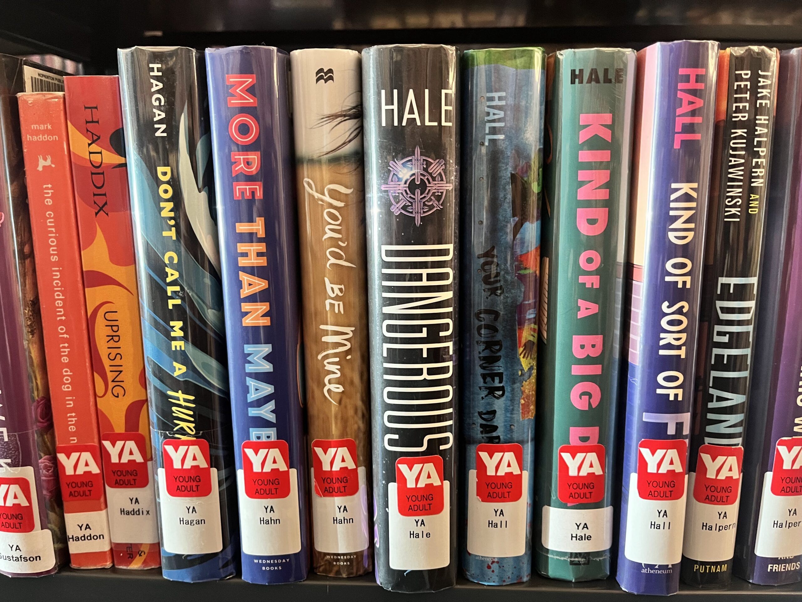  general Young adult books on a shelf in the collection.