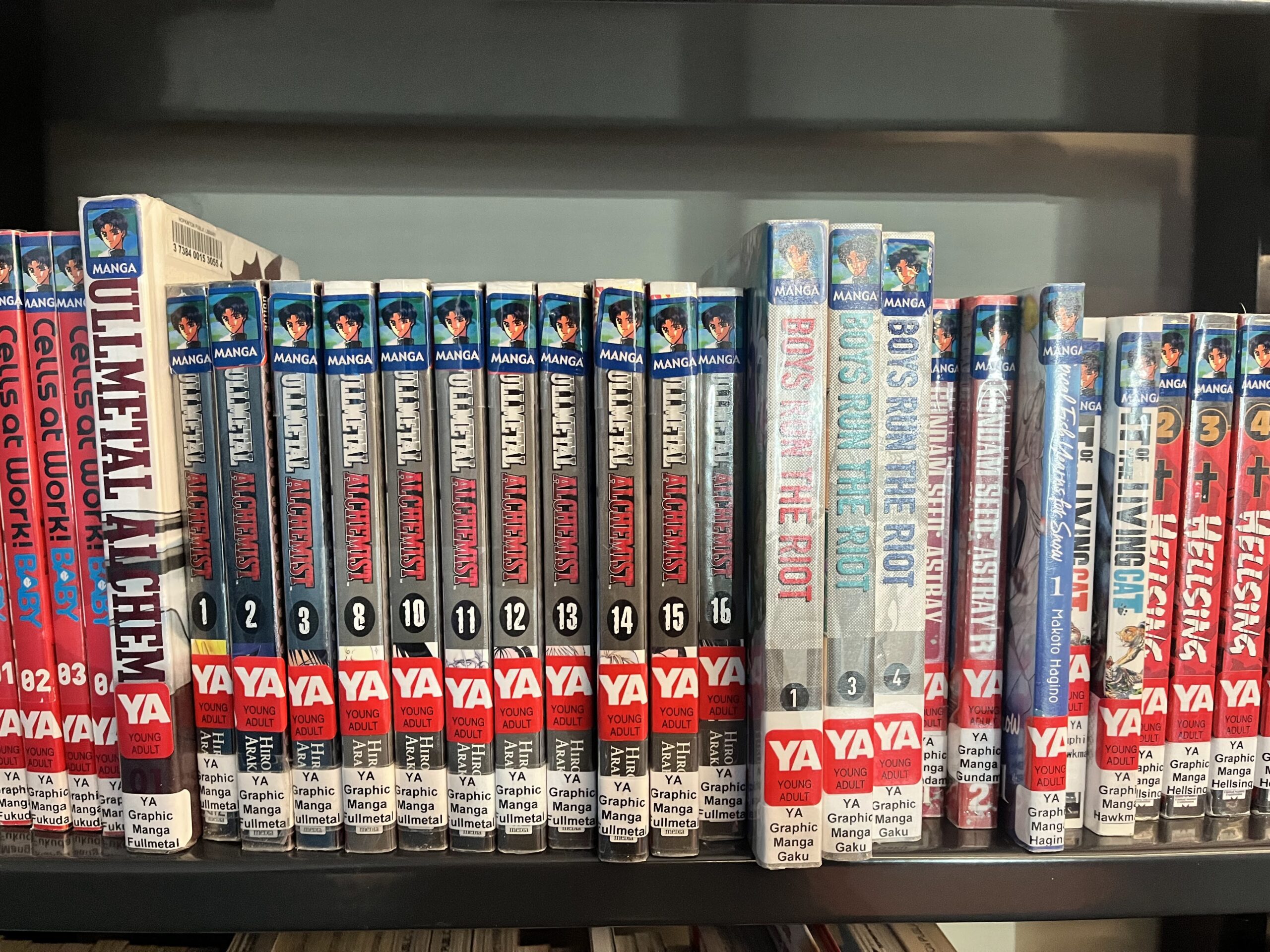 Manga Books on a Shelf